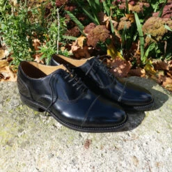 Newcastle Oxfords -Prestige Shoe Shop herring newcastle in black polished 6